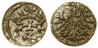 denar 1555, Gdańsk, ładny blask pod patyną, CNG 