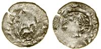 denar (1081–1102), Kraków, Aw: Głowa władcy w le