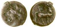 Grecja i posthellenistyczne, brąz (szekel), ok. 215–201 pne