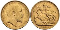 1 funt 1904, złoto 7.97