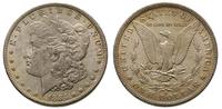 1 dolar 1884 / O, Nowy Orlean, ładna patyna