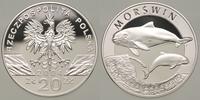 20 złotych 2004, Morświn, moneta w kapslu, 1 mał