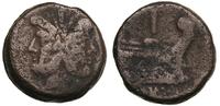 as 211-206 pne, Rzym, Głowa Janusa, powyżej I / 