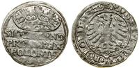 Polska, grosz, 1529