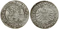 Polska, grosz, 1531