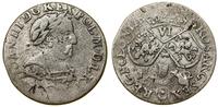 Polska, szóstak, 1682 TLB