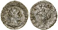 Cesarstwo Rzymskie, antoninian, 254