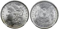 Stany Zjednoczone Ameryki (USA), 1 dolar, 1884 O