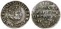 Polska, trojak, 1538