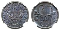 Polska, 1 grosz, 1925