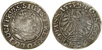 Polska, grosz, 1533