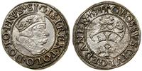 Polska, grosz, 1538