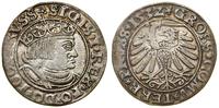 Polska, grosz, 1532