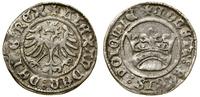 Polska, półgrosz koronny, (bez daty)