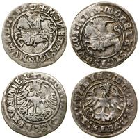 Polska, zestaw: 2 x półgrosz, 1511, 1520
