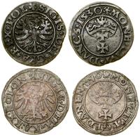 Polska, zestaw: 2 x szeląg, 1530, 1540