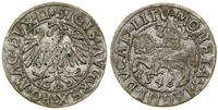 Polska, półgrosz, 1546