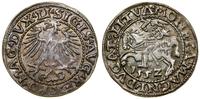 Polska, półgrosz, 1552