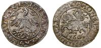 Polska, półgrosz, 1560