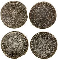 Polska, zestaw: 2 x półgrosz, 1550 i 1556