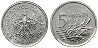 Polska, 5 groszy, 2005