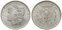 dolar 1884/O, Nowy Orlean, bardzo ładne, duży po