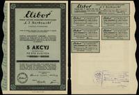 Polska, 5 akcji po 100 złotych = 500 złotych, 1934