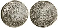 Polska, półgrosz, 1509