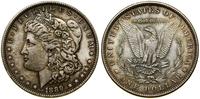 Stany Zjednoczone Ameryki (USA), dolar, 1889