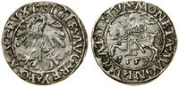 Polska, półgrosz, 1559
