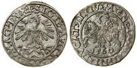 Polska, półgrosz, 1560