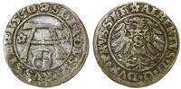 Prusy Książęce (1525–1657), szeląg, 1530