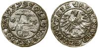 Prusy Książęce (1525–1657), szeląg, 1557