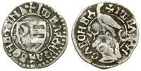 Hospodarstwo Wołoskie, dinar