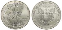 1 dolar 1999, Filadelfia, srebro, delikatna paty