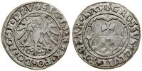 Polska, grosz, 1535