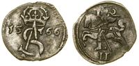 Polska, dwudenar, 1566