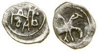 Rosja, 1/2 diengi, 1533–1547