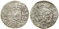 Pomorze, witten, 1516