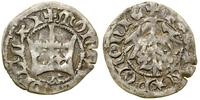 Polska, półgrosz koronny, (1403)