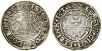 Polska, grosz, 1534