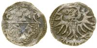 Polska, denar, 1555
