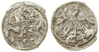 Polska, denar, 1555