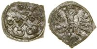 Polska, denar, 1609