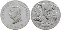 Australia, 1 dolar, 2024