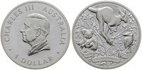 Australia, 1 dolar, 2024