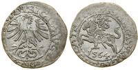 Polska, półgrosz, 1564