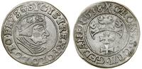 Polska, grosz, 1538