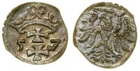 Polska, denar, 1557