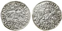 Polska, półgrosz, 1550